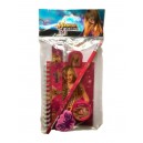 Set d'&eacute;criture Hannah Montana